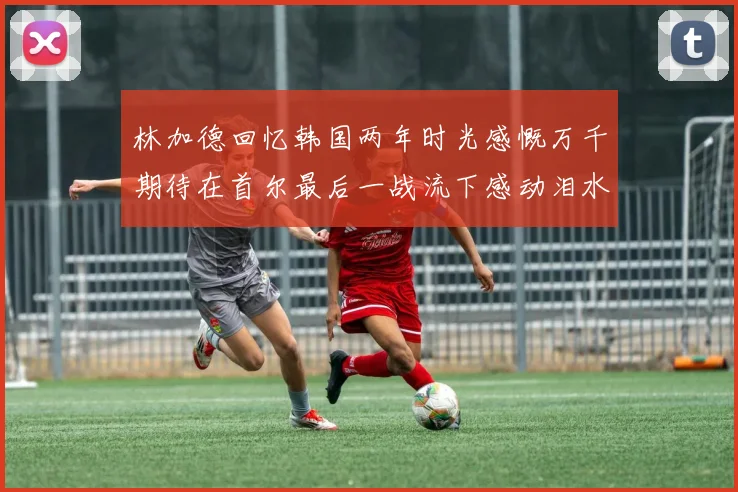 林加德回忆韩国两年时光感慨万千期待在首尔最后一战流下感动泪水