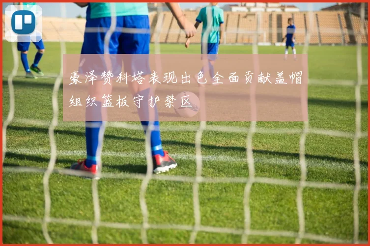 豪泽赞科塔表现出色全面贡献盖帽组织篮板守护禁区