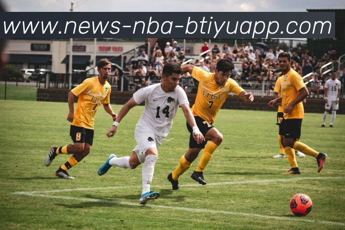 B体育APP 封面图